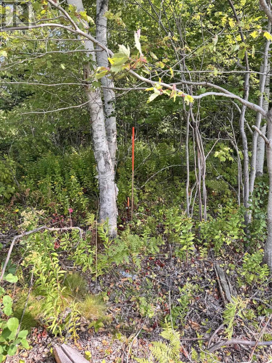 Property 13 of 20 of 1A Seaside Drive, Gardiner Mines, NS