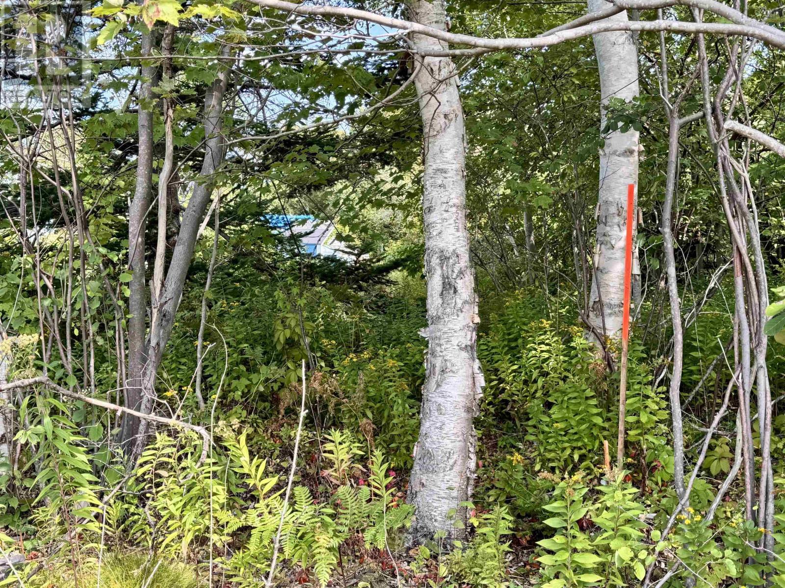 Property 19 of 20 of 1A Seaside Drive, Gardiner Mines, NS