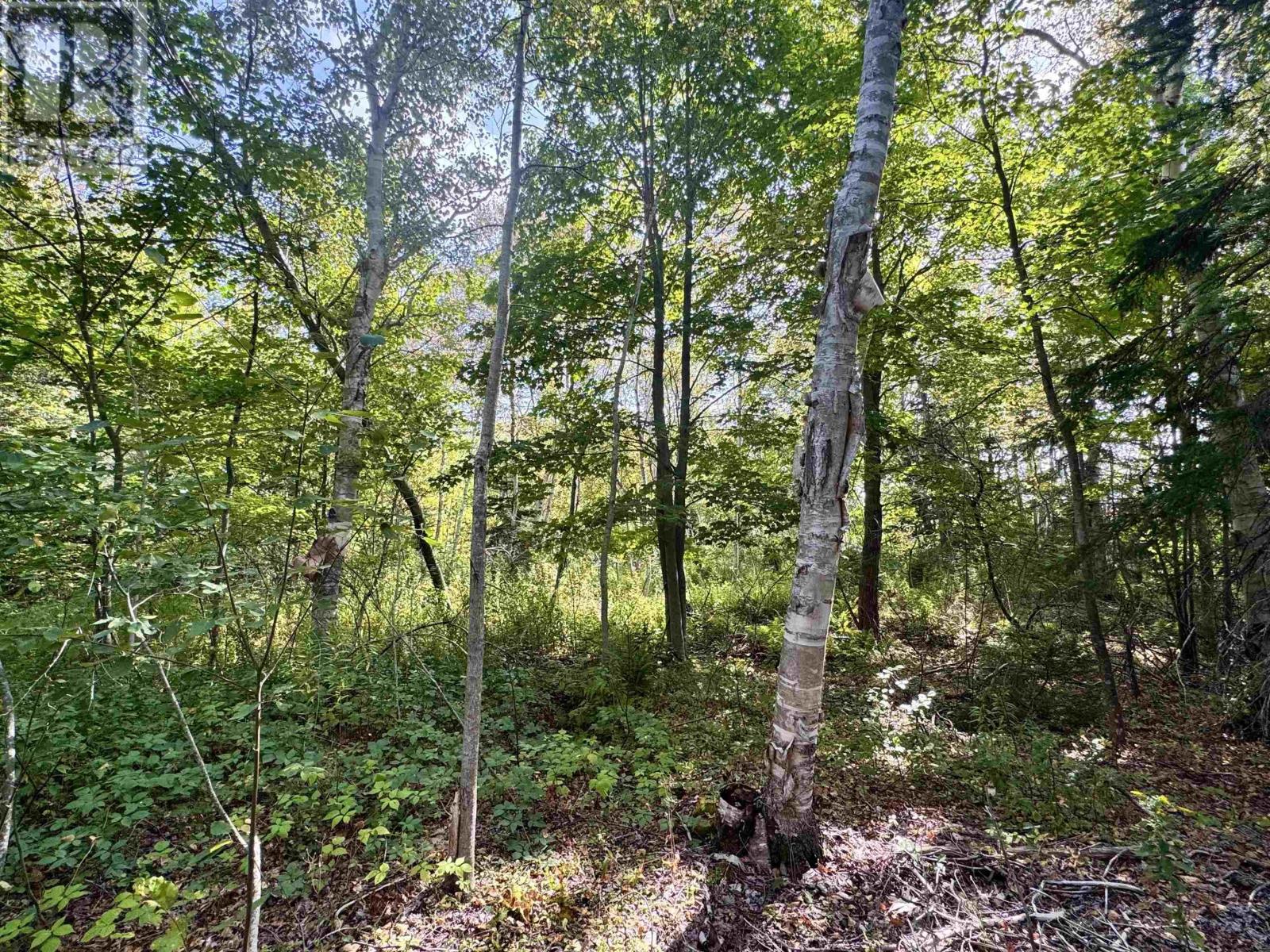 Property 16 of 20 of 1A Seaside Drive, Gardiner Mines, NS