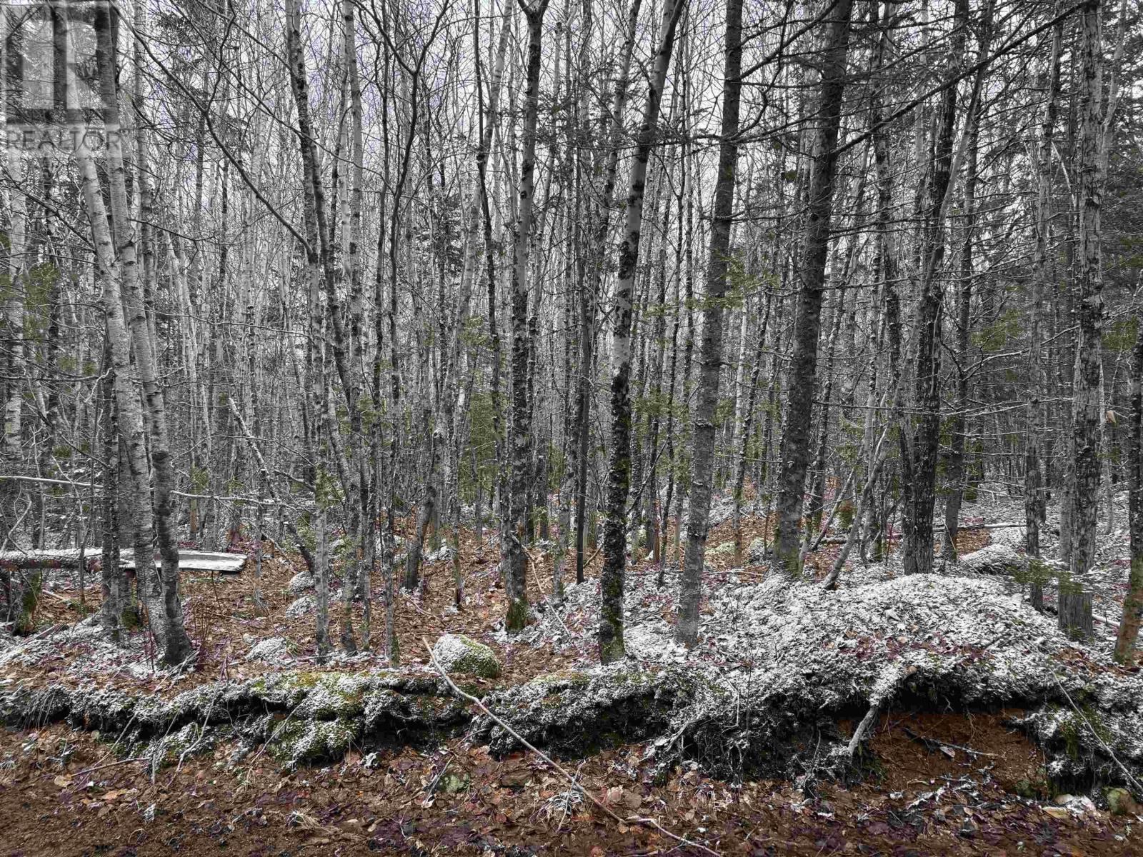 Property 17 of 20 of Lot (PID 05046693) Victory Road