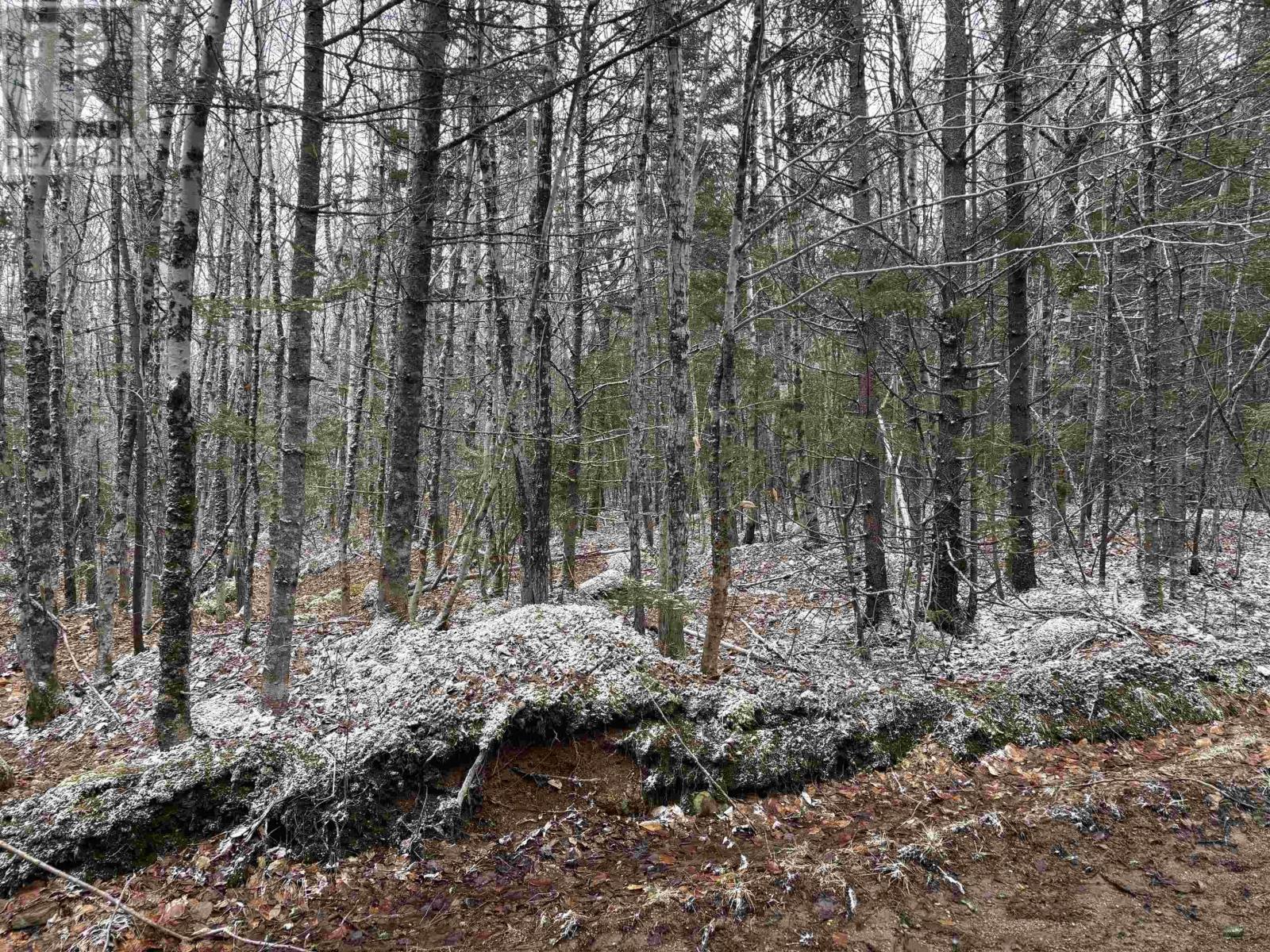 Property 7 of 20 of Lot (PID 05046693) Victory Road