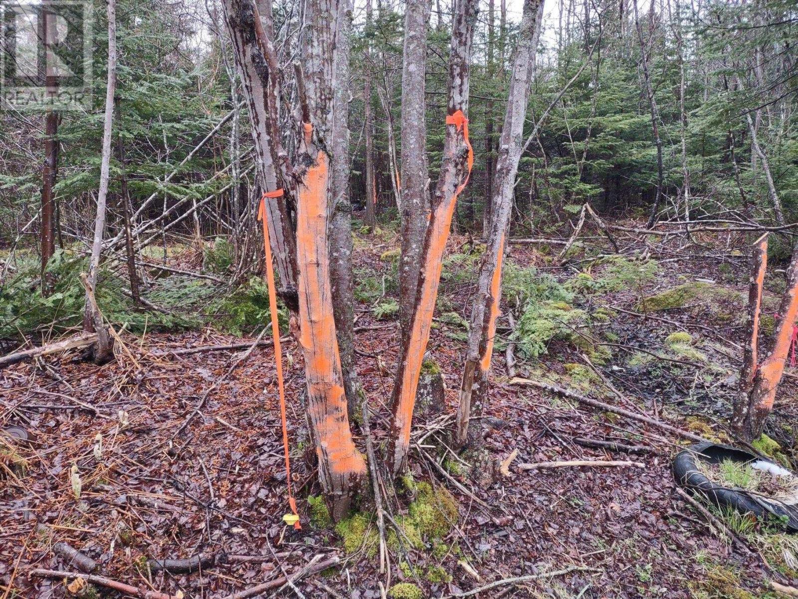 Property 14 of 17 of 1218 St Margarets Bay Road