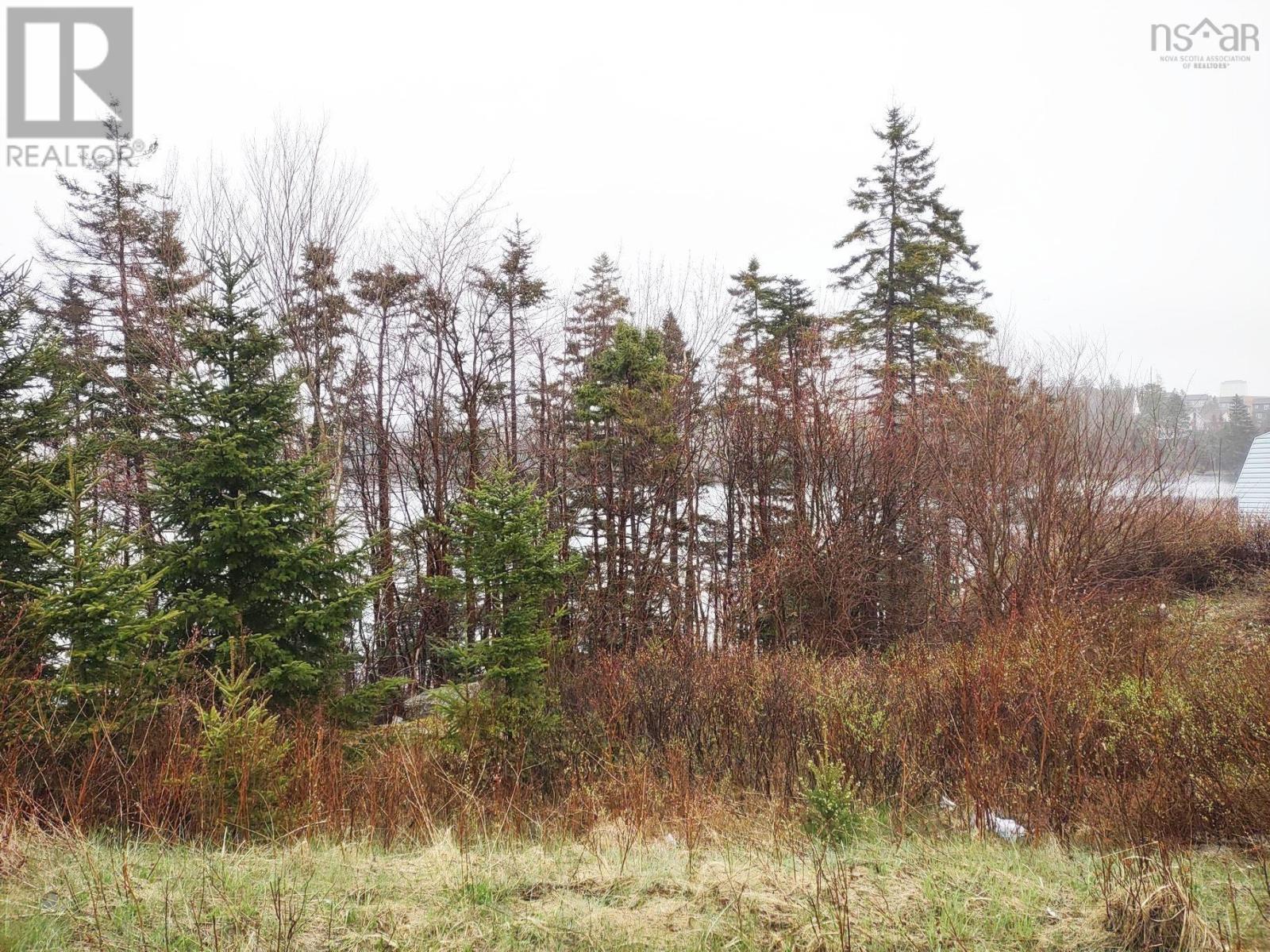 Property 8 of 17 of 1218 St Margarets Bay Road