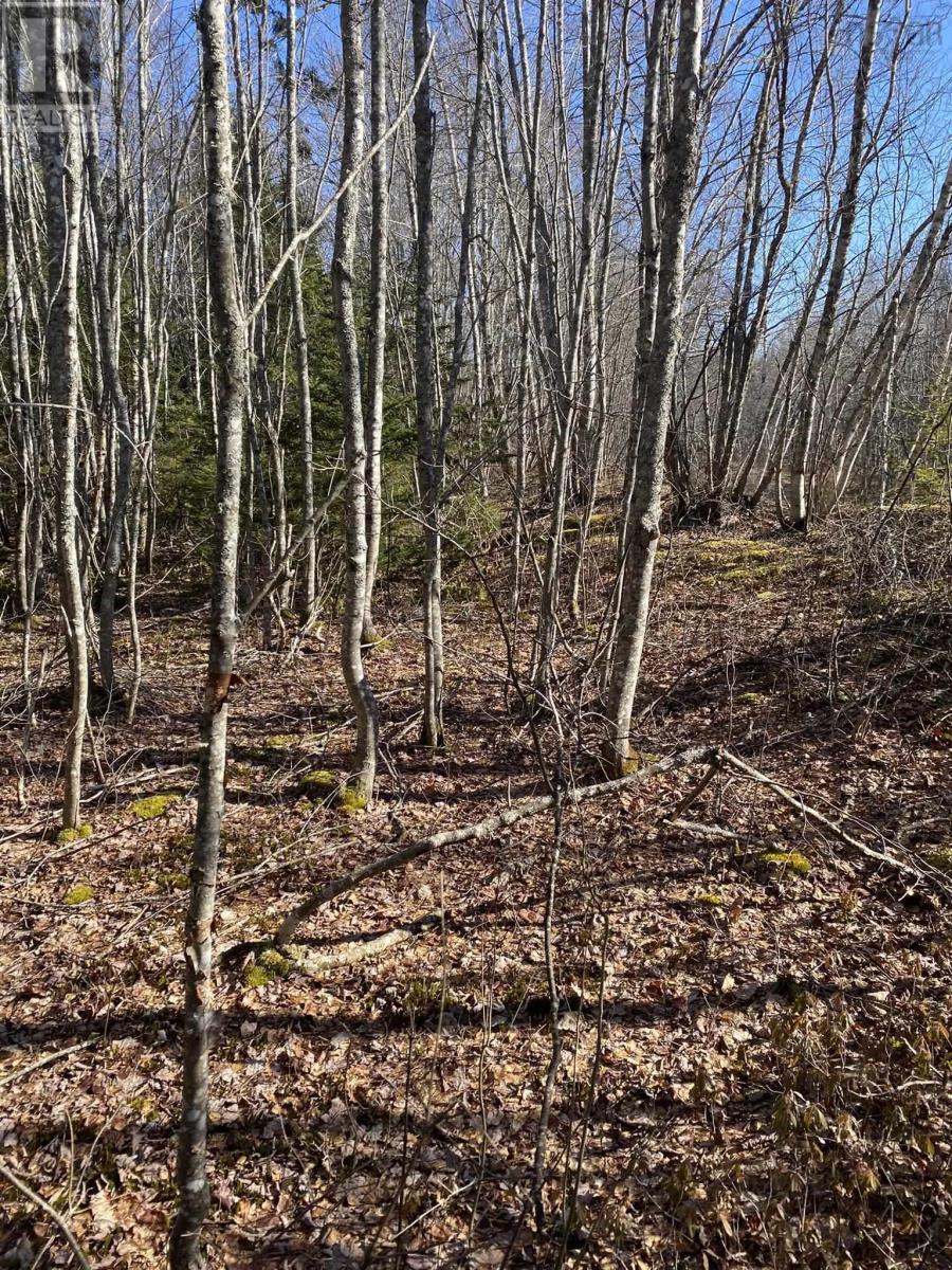 Property 4 of 10 of Old Halifax Road