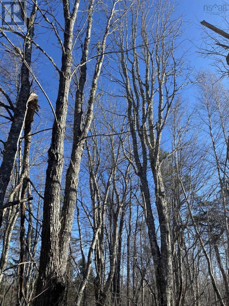 Property 6 of 10 of Old Halifax Road