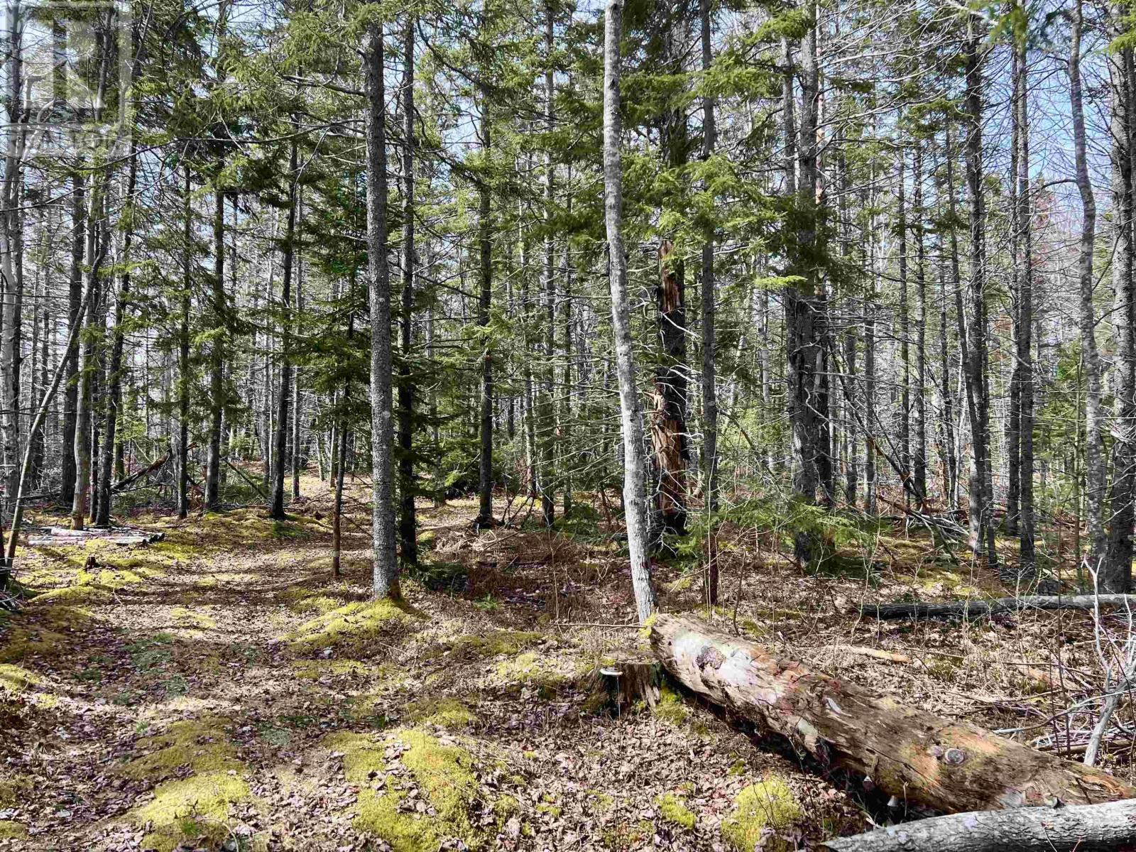 Property 33 of 49 of Old Mulgrave Road