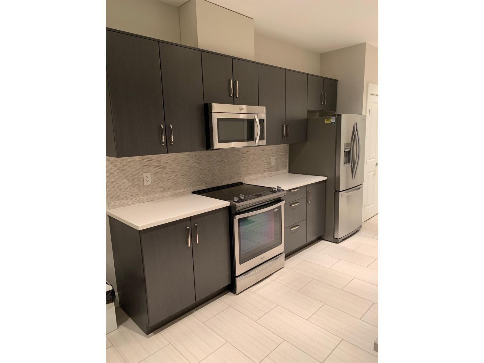 219 20728 WILLOUGHBY TOWN CENTRE DRIVE, Langley