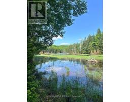 1414 Madill Road, Highlands East, ON K0M1R0 Photo 6