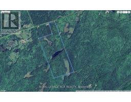 1414 Madill Road, Highlands East, ON K0M1R0 Photo 9
