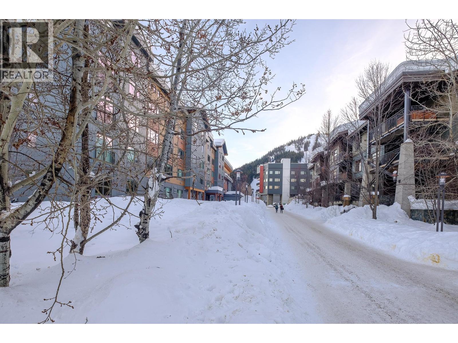 4280 Red Mountain Road Unit# 209, Rossland