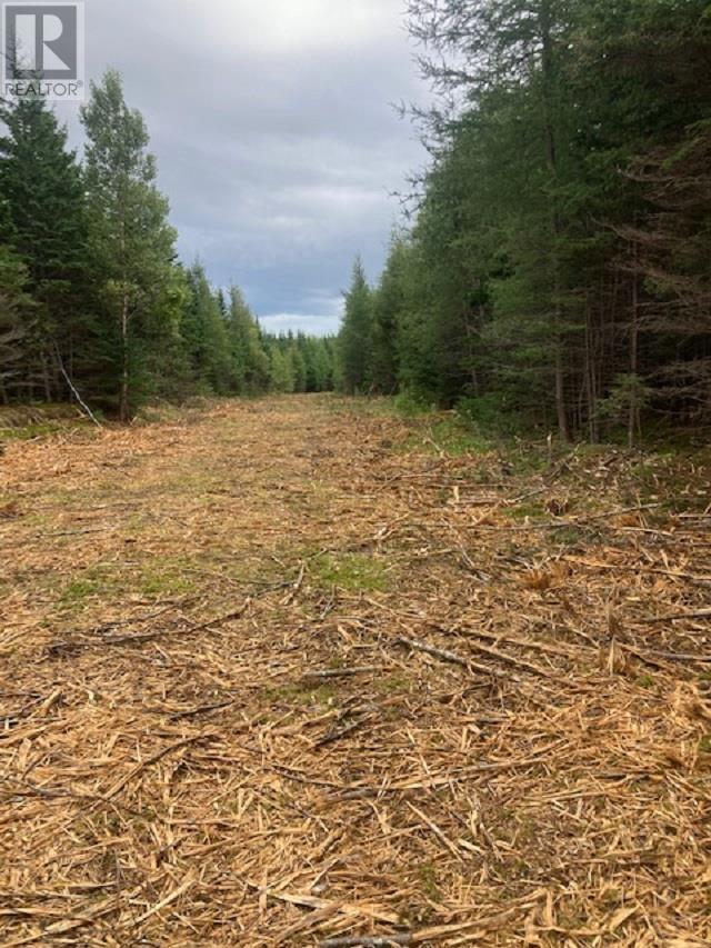 Property 20 of 27 of 731 Salem Road