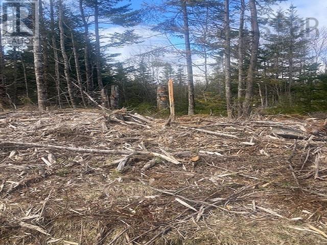 Property 19 of 27 of 731 Salem Road