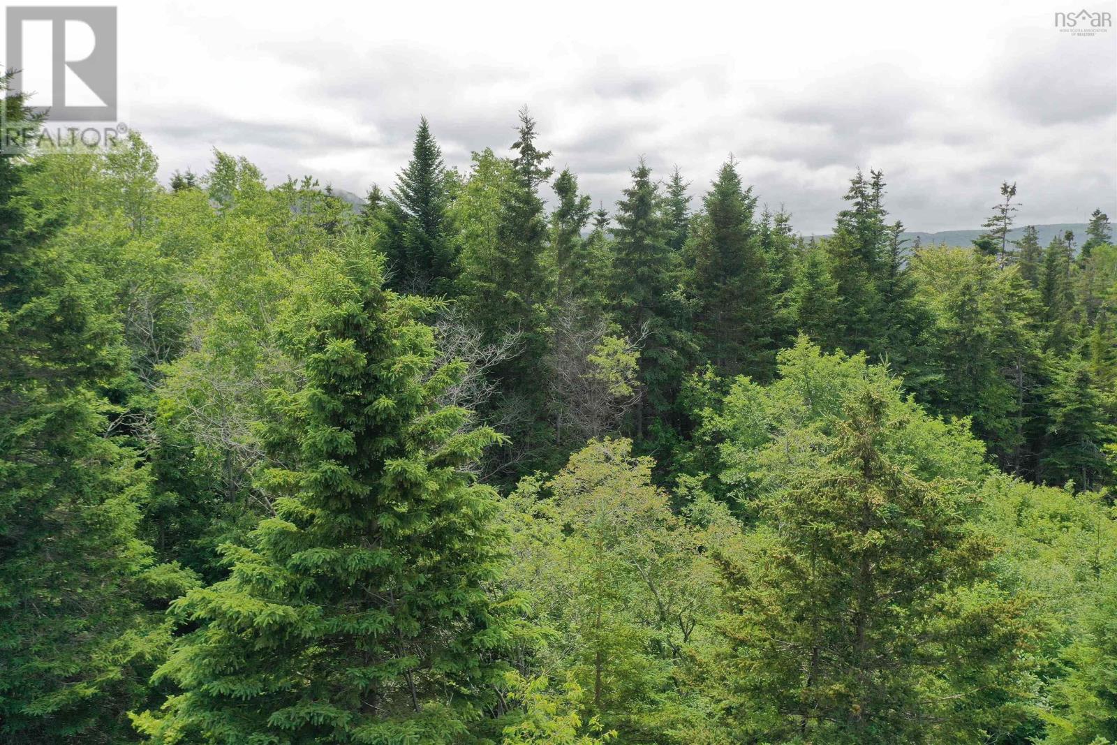 Property 4 of 12 of Lots 14 & 15 Highview & Clough Ave