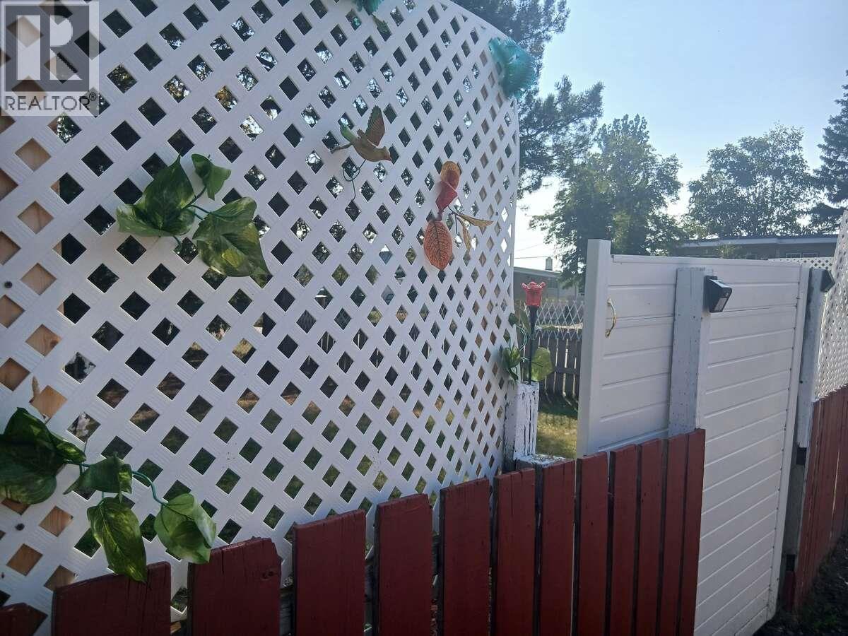 534 IRWIN STREET, Prince George