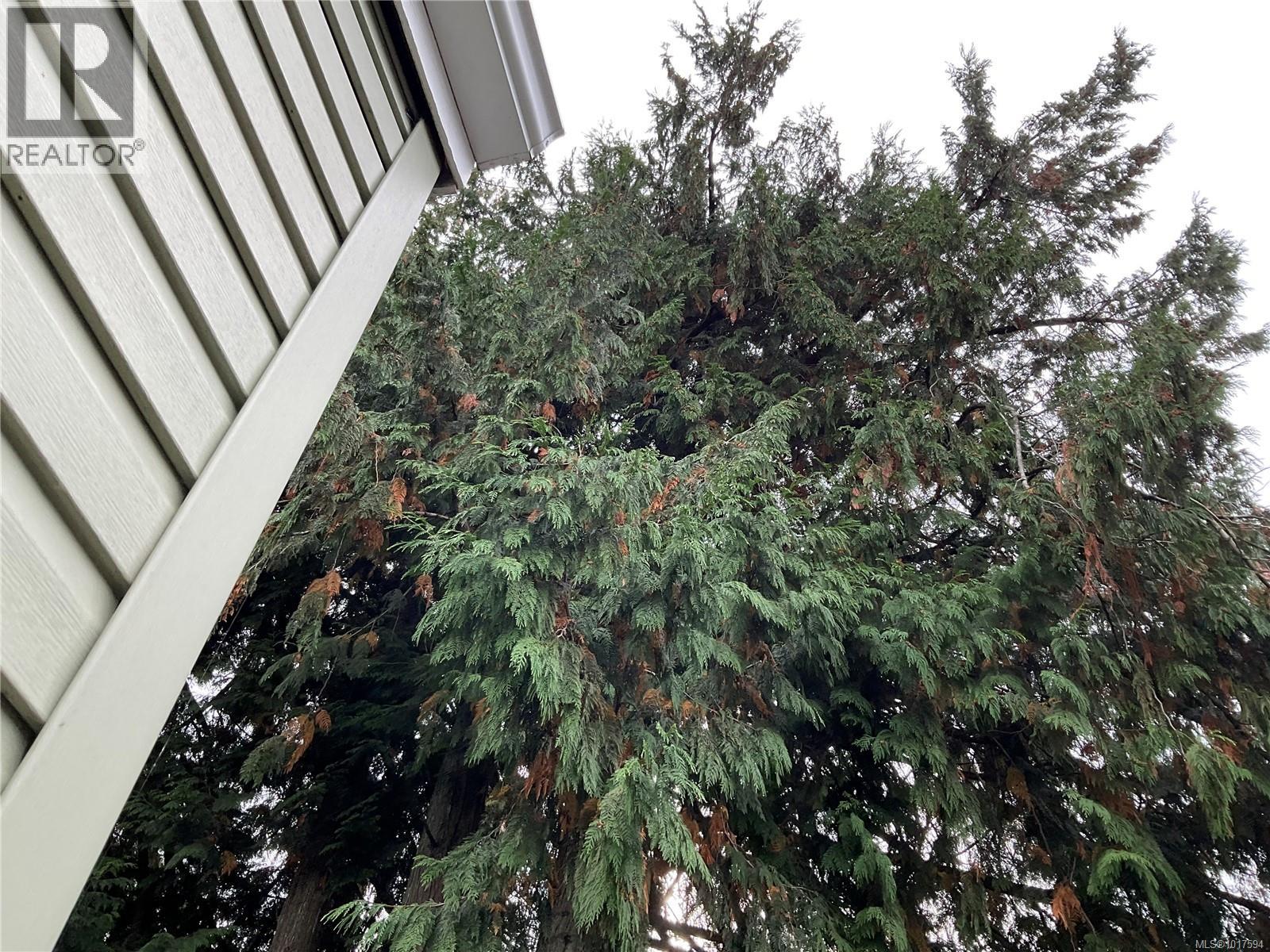 #3 1074 OLD VICTORIA RD - 29