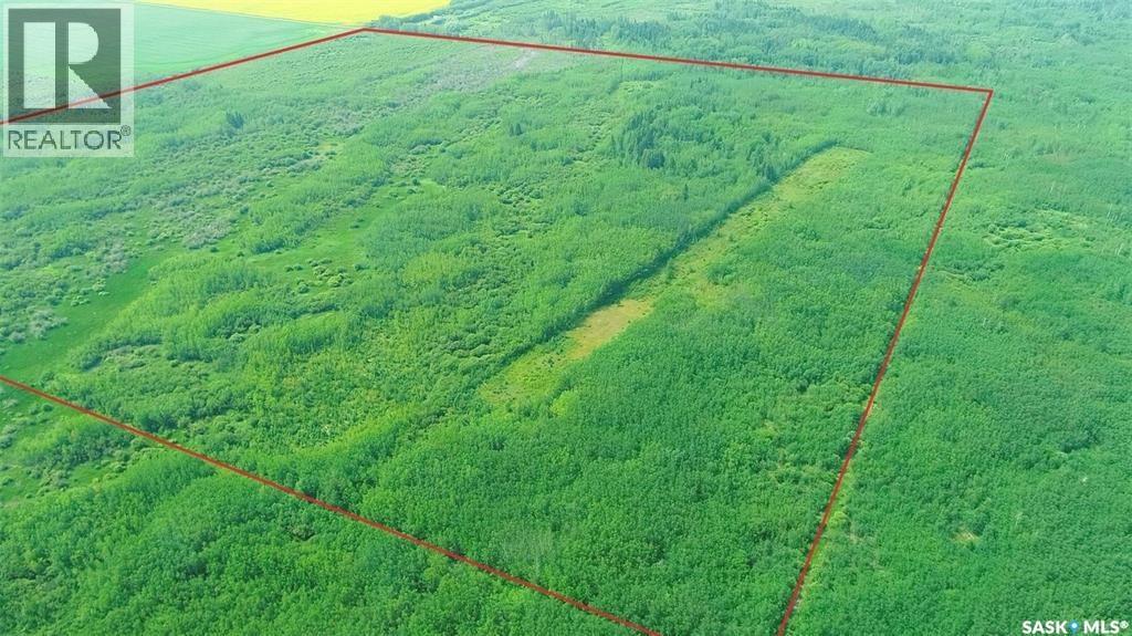 Recreational quarter of land N-E of White Fox — photo 21