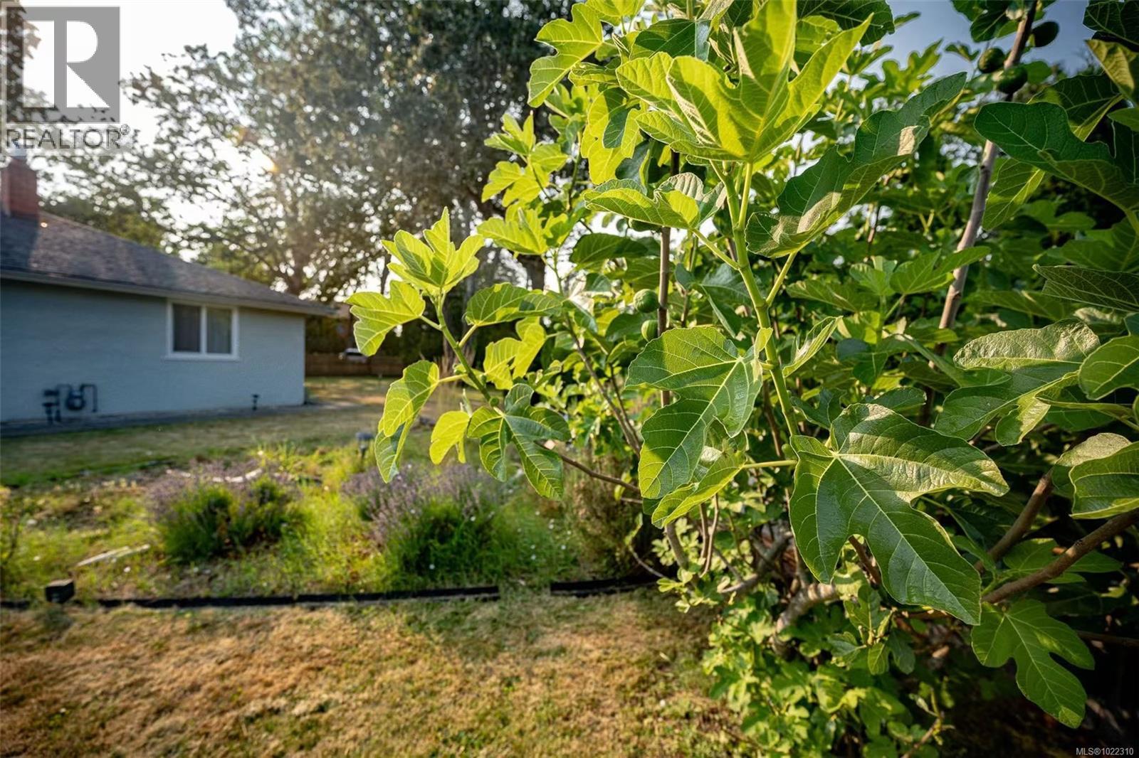 3956 Cedar Hill Cross Rd, Saanich