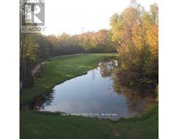 30504 Hwy 48 Highway, Georgina, ON L0E1N0 Photo 10