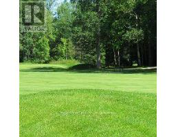30504 Hwy 48 Highway, Georgina, ON L0E1N0 Photo 20