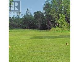 30504 Hwy 48 Highway, Georgina, ON L0E1N0 Photo 23