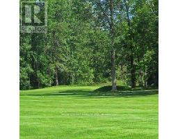 30504 Hwy 48 Highway, Georgina, ON L0E1N0 Photo 27