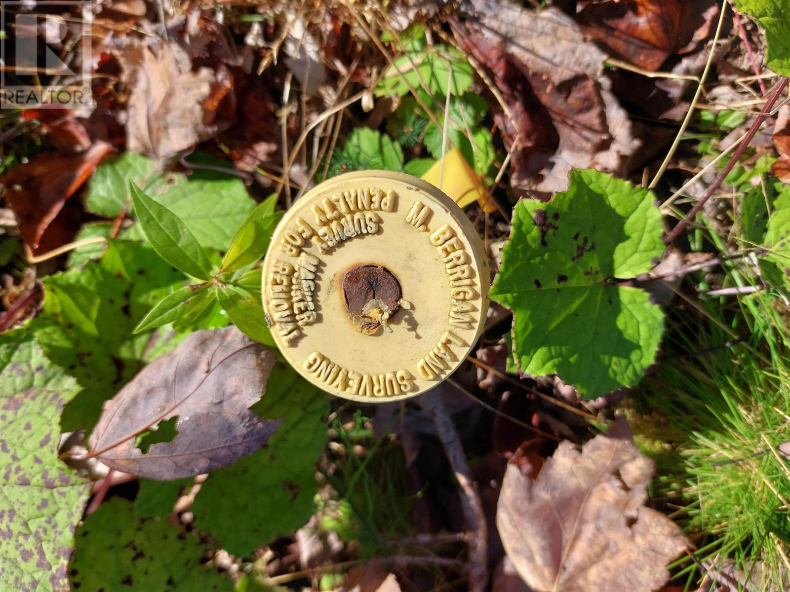 Property 7 of 19 of Lot 25 Beaver Lane