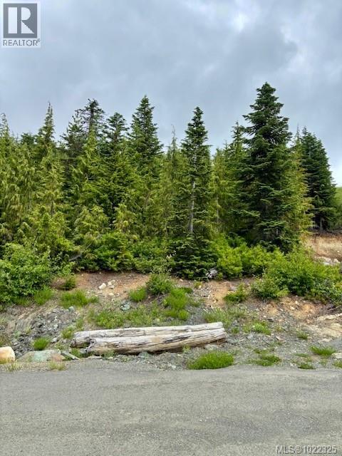 Lot13 Nordic Dr, Courtenay