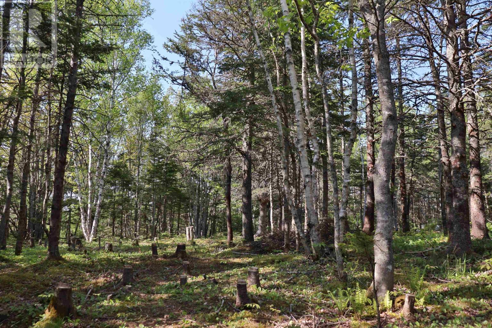 Property 11 of 15 of Lot Forest Glade Road