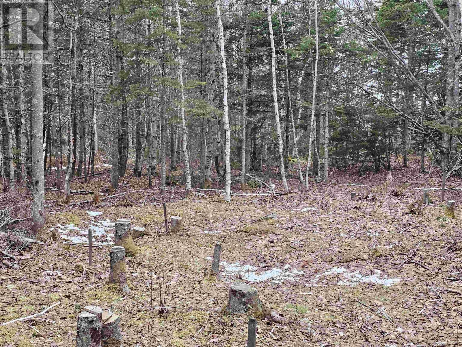 Property 2 of 15 of Lot Forest Glade Road