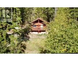 3483 Highway 95, Parson, BC V0A1L0 Photo 85