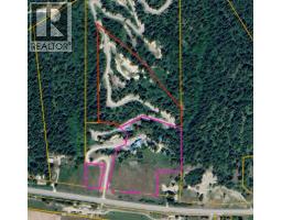 3483 Highway 95, Parson, BC V0A1L0 Photo 91