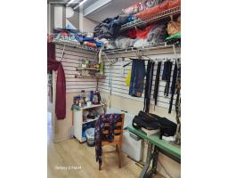 8 - 2323 Bloor Street W, Toronto, ON M6S4W1 Photo 17