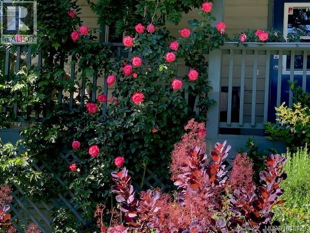 178 Elizabeth Dr, Salt Spring