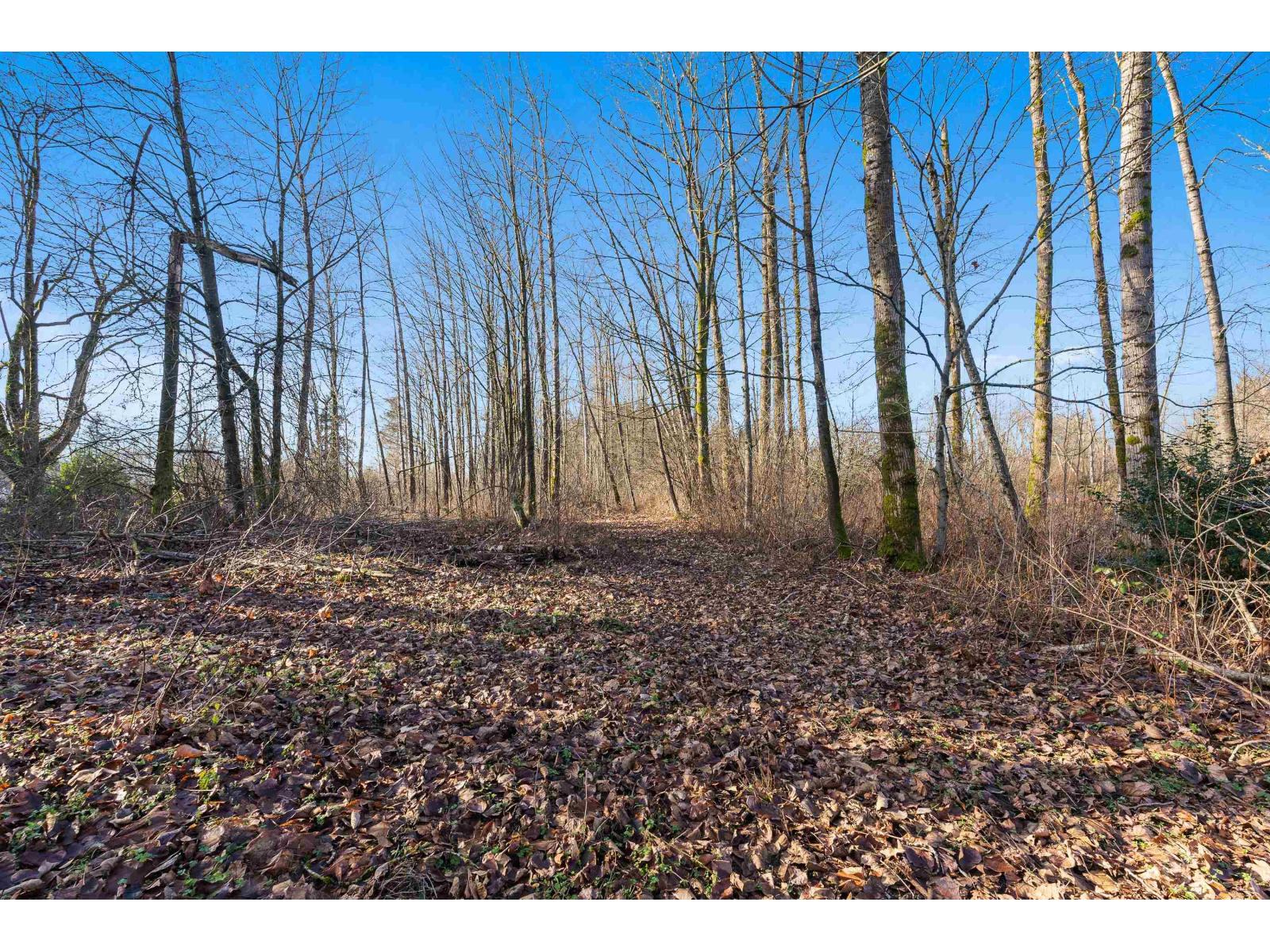 2271 240 STREET, Langley