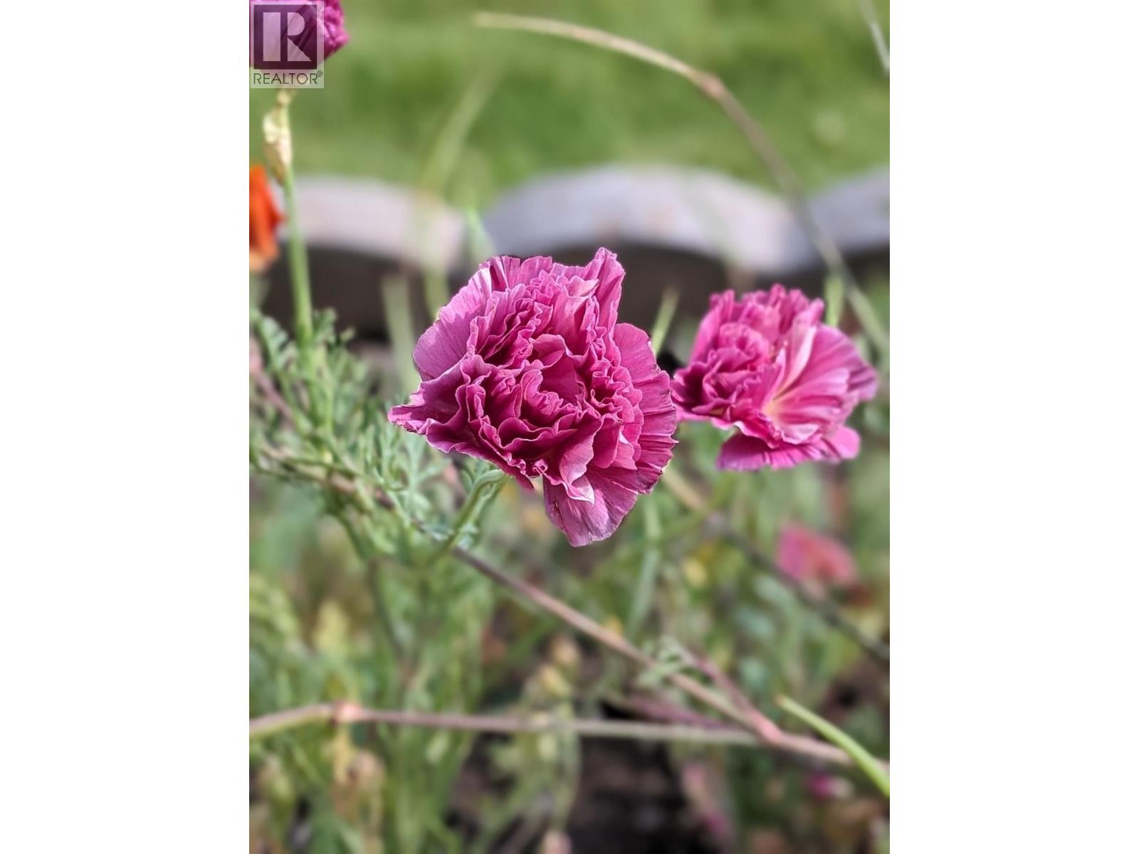 11708 QUAIL RIDGE Place, Osoyoos