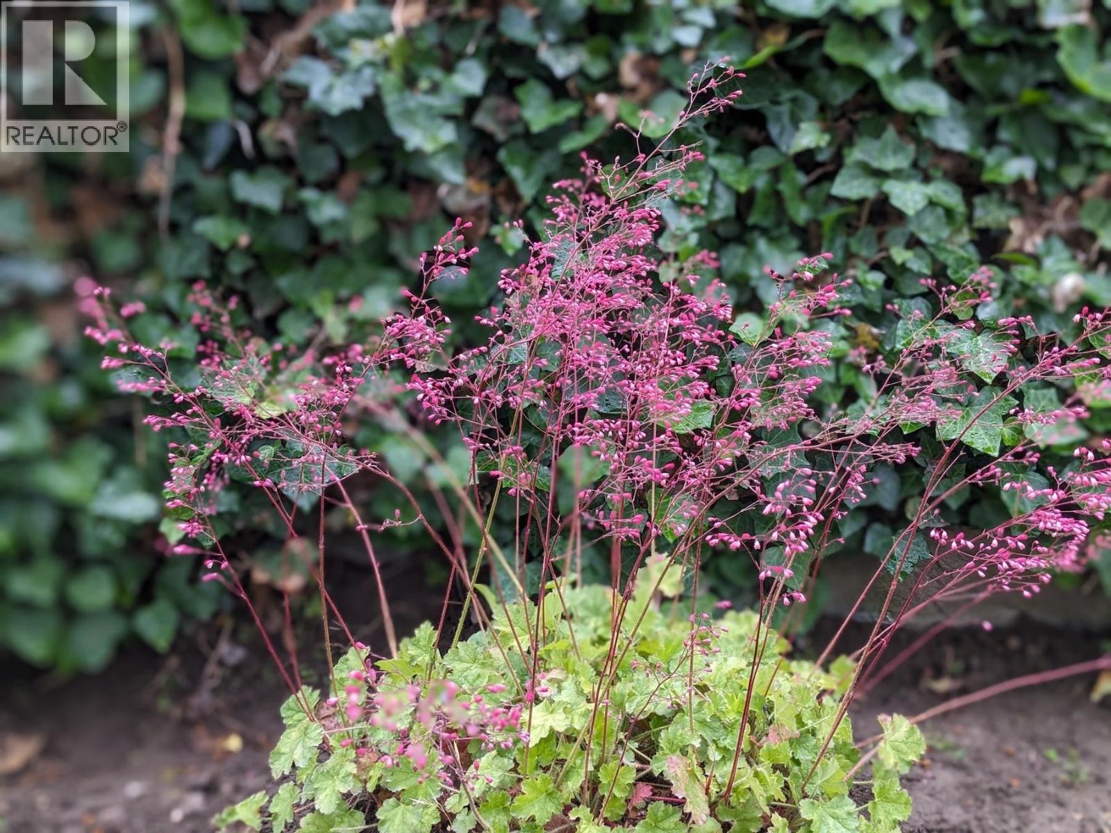 11708 QUAIL RIDGE Place, Osoyoos