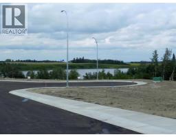 18 Henner's Place, Lacombe, AB T4L1Y9 Photo 6