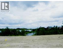 18 Henner's Place, Lacombe, AB T4L1Y9 Photo 7