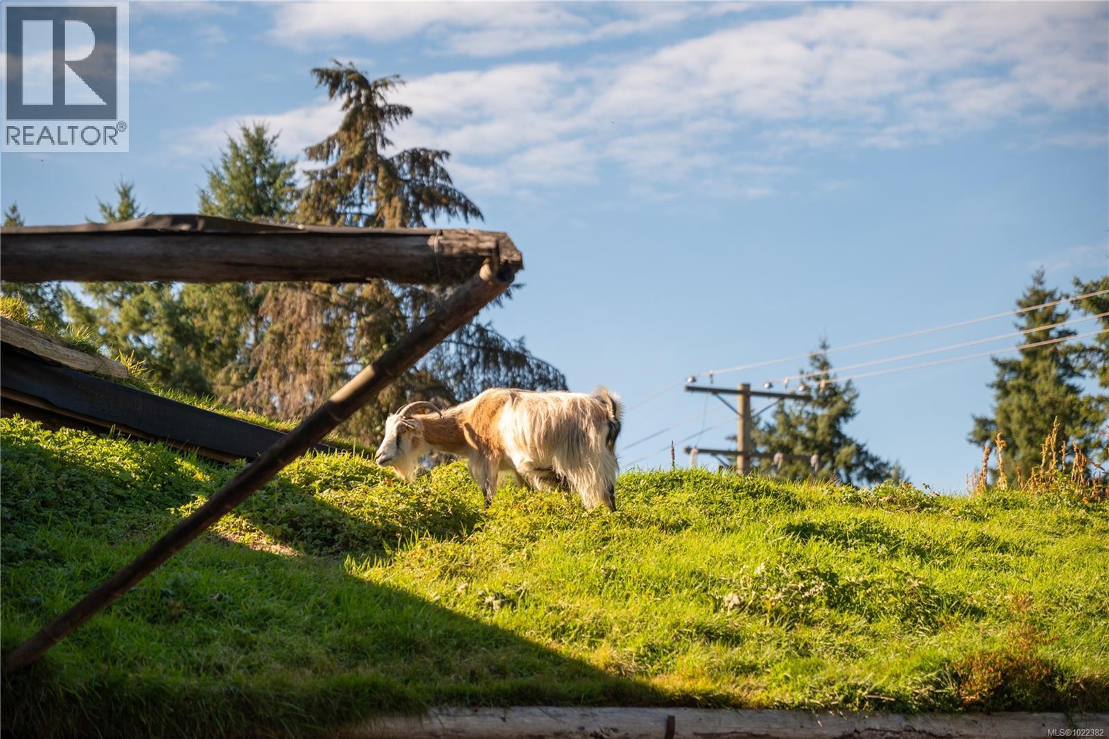 16 703 Turner Rd, Parksville