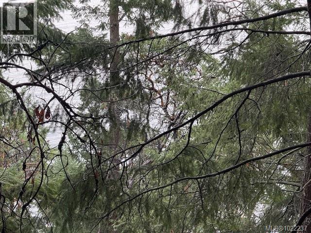 127 HALIBUT HILL RD - 8