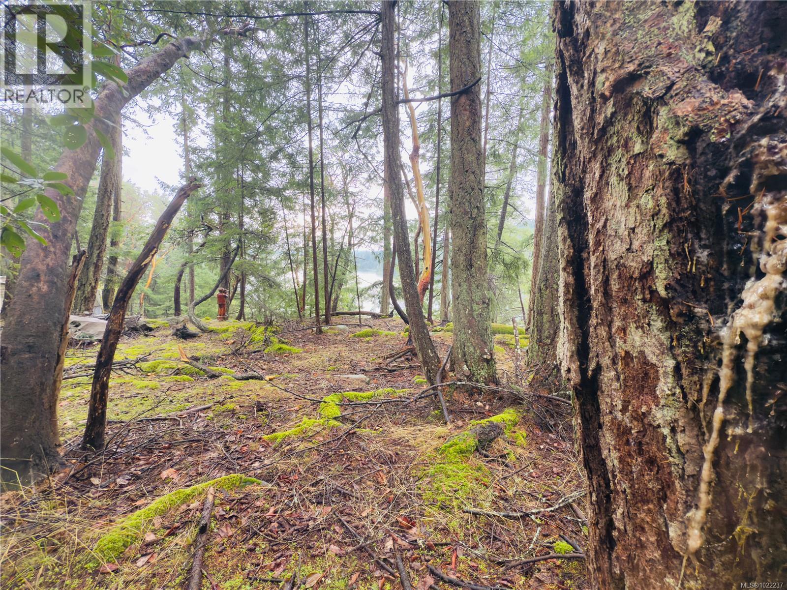 127 Halibut Hill Rd - Photo 4 of 11, Mudge Island, British Columbia