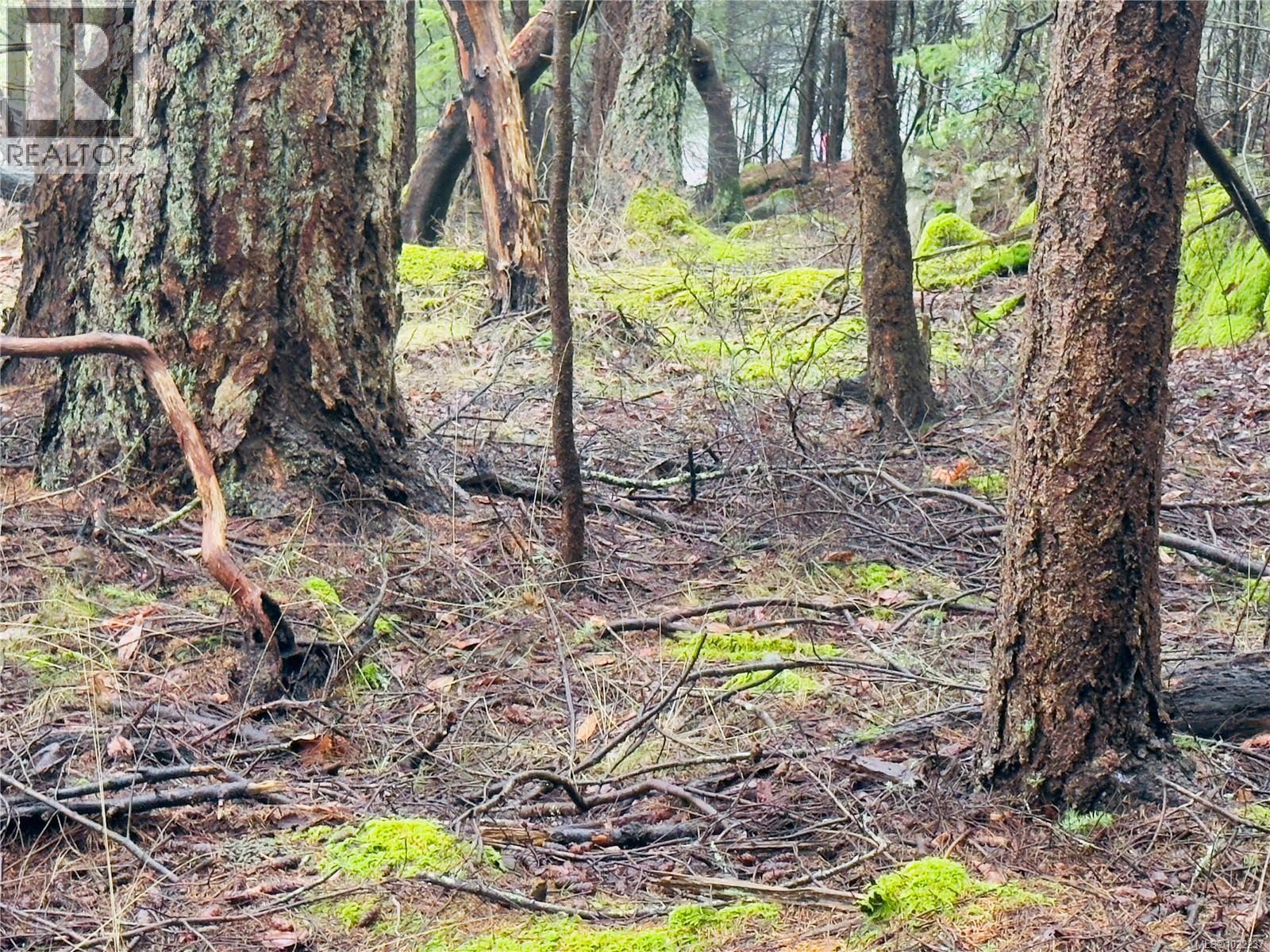 127 Halibut Hill Rd - Photo 3 of 11, Mudge Island, British Columbia