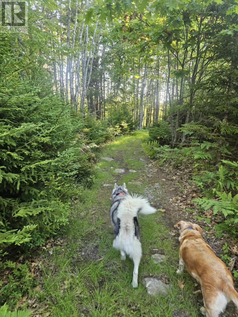 Property 49 of 49 of 54 Scott's Drive