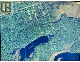 429-439 Lynx Lake Road, Huntsville, ON P1H2J3 Photo 47