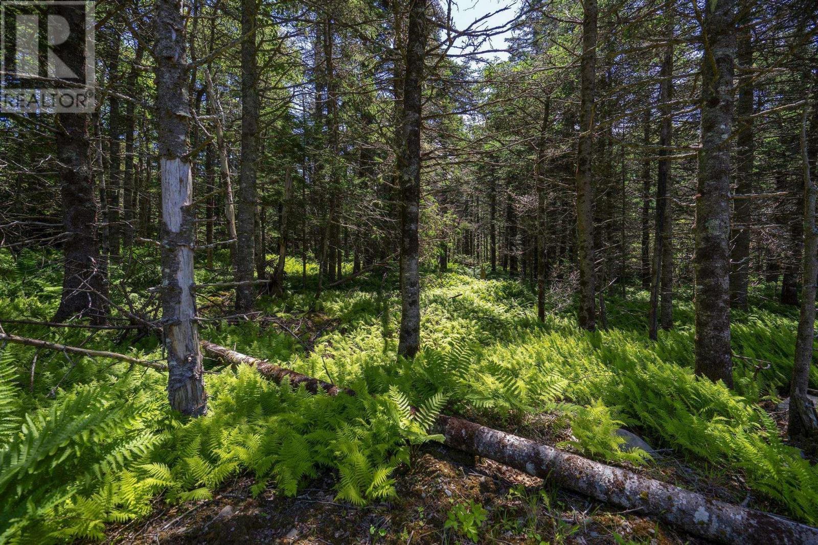 Property 47 of 49 of 14 Killiam Forest Road