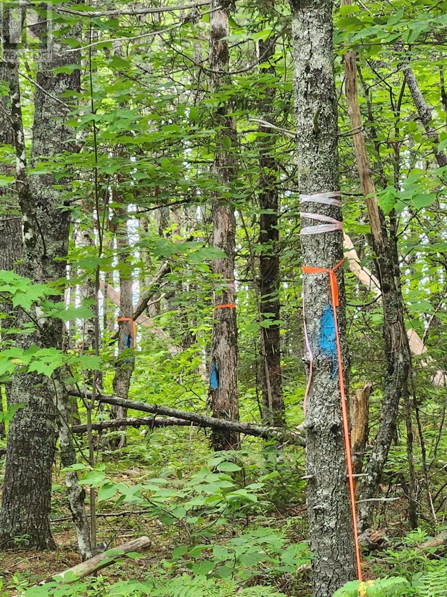 Property 8 of 10 of Lot 73 Baker Point Road