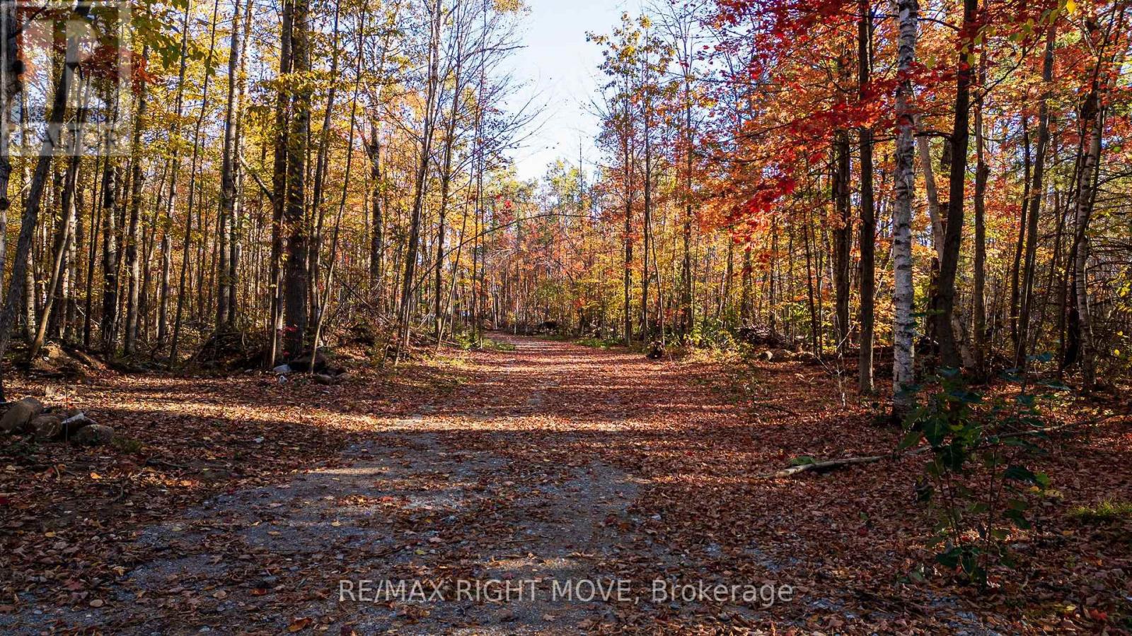 2085 MONCK ROAD - Photo 3 of 10, Ramara, Ontario