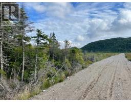 460 Route - White's Road thumbnail 13