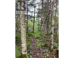 460 Route - White's Road thumbnail 29