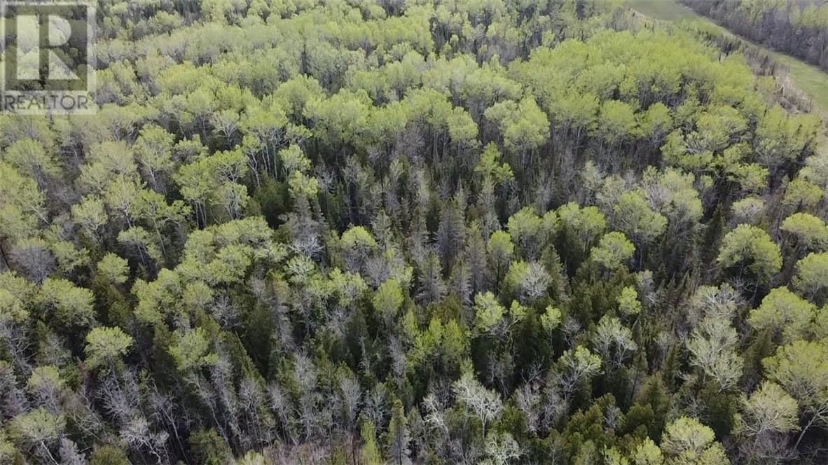 0 Cardwell St - Photo 4 of 4, Manitowaning, Ontario